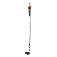 Mini palan &agrave; levier, Lev&eacute;e 15', Cabacit&eacute; 1000 lb (0,5 tonne), Chaîne en Acier Rock Safety Industrial Ltd