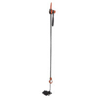 Mini palan &agrave; levier, Lev&eacute;e 20', Cabacit&eacute; 1000 lb (0,5 tonne), Chaîne en Acier Rock Safety Industrial Ltd