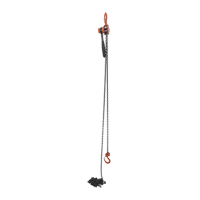 Mini palan &agrave; levier, Lev&eacute;e 20', Cabacit&eacute; 1000 lb (0,5 tonne), Chaîne en Acier Rock Safety Industrial Ltd