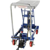 Pneumatic Hydraulic Scissor Lift Table, Steel, 32-1/2" L x 19-3/4" W, 1000 lbs. Cap. Rock Safety Industrial Ltd