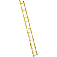 Single Section Straight Ladder - 6100 Series, 14', Fibreglass, 375 lbs., CSA Grade 1AA Rock Safety Industrial Ltd