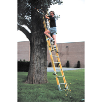 Industrial Heavy-Duty Extension Ladders (6200 Series), 375 lbs. Cap., 13' H, Grade 1AA Rock Safety Industrial Ltd