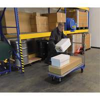 Platform Cart, 48" L x 24" W, 1500 lbs. Capacity, Mold-on Rubber Casters Rock Safety Industrial Ltd