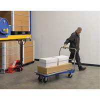 Platform Cart, 48" L x 24" W, 1500 lbs. Capacity, Mold-on Rubber Casters Rock Safety Industrial Ltd