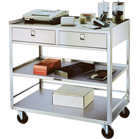 Stainless Steel Equipment Stands, 300 lbs. Capacity, Stainless Steel, 20"/20-1/8" x W, 35" x H, 37"/36-3/8" D, Knocked Down, 2 Drawers Rock Safety Industrial Ltd