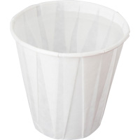 Pleated Cup, Paper, 5 oz., White Rock Safety Industrial Ltd
