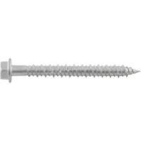 Vis de scellement Aggre-Gator, 1/4" x 1-1/4" lo, Acier inoxydable Rock Safety Industrial Ltd