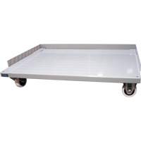 Mobile Dolly Base for Deep Door Storage Cabinets, 38" W x 24" D x 7" H, 1500 lbs. Capacity Rock Safety Industrial Ltd