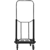 Fold-Up Platform Truck, Stainless Steel, 300 lbs., 28" L x 16" W, 33-1/2" High Rock Safety Industrial Ltd