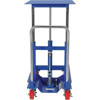 Lift Table, 30"L x 24"W, Steel, 2000 lbs. Capacity Rock Safety Industrial Ltd