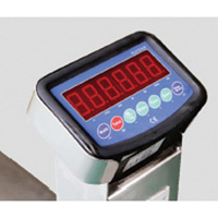 Eco Weigh-Scale Pallet Truck, 48" L x 27" W, 4400 lbs. Cap. Rock Safety Industrial Ltd