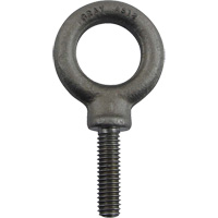 Alloy Steel Eye Bolt, 1" Dia., 1-1/4" L, 1480 lbs. (0.74 tons)/1480 lbs. Capacity Rock Safety Industrial Ltd