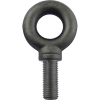 Alloy Steel Eye Bolt, 2-1/2" Dia., 3-1/2" L, 26600 lbs. (13.3 tons)/26600 lbs. Capacity Rock Safety Industrial Ltd