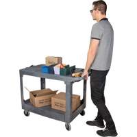 Flat-Shelf Utility Service Cart, 2 Tiers, 25-1/4" x 32-1/4" x 44", 550 lbs. Capacity Rock Safety Industrial Ltd