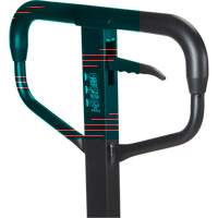 Quick-Lift Manual Pallet Truck, Steel, 36" L x 27" W, 5500 lbs. Capacity Rock Safety Industrial Ltd