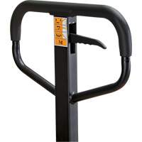 Manual Pallet Truck, Steel, 48" L x 21" W, 5500 lbs. Capacity Rock Safety Industrial Ltd