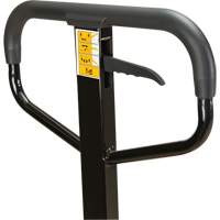 Manual Pallet Truck, Steel, 48" L x 27" W, 5500 lbs. Capacity Rock Safety Industrial Ltd