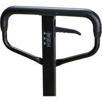 Steel Wheel Pallet Truck, Steel, 48" L x 27" W, 5500 lbs. Capacity Rock Safety Industrial Ltd