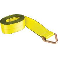 Logistic Strap, Delta Ring, 4" W x 30' L, 5400 lbs. (2449 kg) Working Load Limit Rock Safety Industrial Ltd