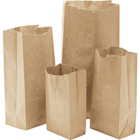 Paper Bags, Paper, 3-1/2" W x 6-3/4" L Rock Safety Industrial Ltd