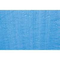 B&acirc;che, Standard, Bleu, 7' x 5' x 4 mils Rock Safety Industrial Ltd