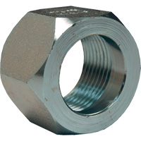 &eacute;crou hexagonal de minage Dixon, 1", Zingu&eacute;, Filetage NPT Rock Safety Industrial Ltd