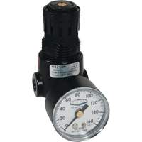 R&eacute;gulateur miniature R04 Wilkerson, 1/4" NPT, PSI max. de 300 psi, Standard Rock Safety Industrial Ltd