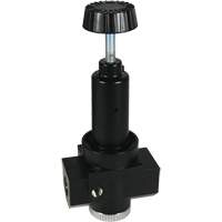 R&eacute;gulateur &agrave; d&eacute;bit &eacute;lev&eacute; R30 Wilkerson, 3/4" NPT, PSI max. de 300 psi, Standard Rock Safety Industrial Ltd