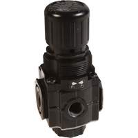 Series 1 Manifold Regulator, 1/4" NPT, 150 PSI Max. PSI, Standard Rock Safety Industrial Ltd