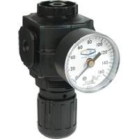 Series 1 Compact Regulator, 1/2" NPT, 150 PSI Max. PSI, Standard Rock Safety Industrial Ltd