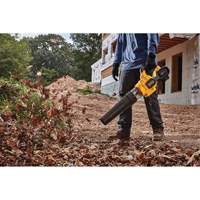 Flexvolt&reg; Brushless Handheld Axial Blower, 60 V, 125 MPH Output, Battery Powered Rock Safety Industrial Ltd