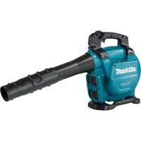 Souffleur/aspirateur sans fil LXT X2, 18 V, Vitesse d'air 120 mi/h, &agrave; pile Rock Safety Industrial Ltd