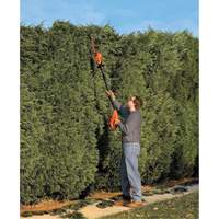 Ensemble de taille-haie sur perche sans fil Max* Rock Safety Industrial Ltd