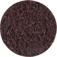 Standard Abrasives Surface Conditioning Discs, 2" Dia., Coarse Grit Rock Safety Industrial Ltd