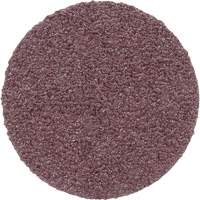 Meule en toile PSA 348D, 20" dia., Grain 60, Oxyde d'aluminium Rock Safety Industrial Ltd