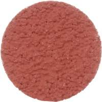 Cubitron II Roloc Durable Edge Disc, 2" Dia., 36+ Grit, Ceramic Rock Safety Industrial Ltd
