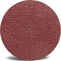 3M 782C Roloc Sanding Disc, 2" Dia., 36+ Grit, Ceramic Rock Safety Industrial Ltd