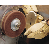 Disques robustes Scotch-Brite (oxyde d'aluminium), 6" dia., Grain Tr&egrave;s fin, Oxyde d'aluminium Rock Safety Industrial Ltd