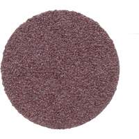 Disque de conditionnement de surface, 1" dia., Grain P100, Oxyde d'aluminium Rock Safety Industrial Ltd