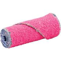 Cartouche R982, 80 Grain, 1/2" dia., C&eacute;ramique d'alumine, 1-1/2" lo, 1/8" Dimension de l'arbre Rock Safety Industrial Ltd