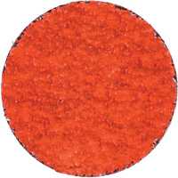 Blaze R980P Quick-Change Cloth Disc, 2" Dia., 36 Grit, Ceramic Alumina Rock Safety Industrial Ltd