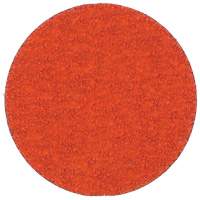 Blaze R980P Quick-Change Cloth Disc, 2" Dia., 60 Grit, Ceramic Alumina Rock Safety Industrial Ltd