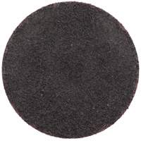 Gemini R766/R228 Quick-Change Cloth Disc, 2" Dia., 36 Grit, Aluminum Oxide Rock Safety Industrial Ltd