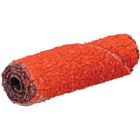 Rouleau de cartouche Blaze R920, 60 Grain, 3/8" dia., C&eacute;ramique d'alumine, 1-1/2" lo, 1/8" Dimension de l'arbre Rock Safety Industrial Ltd