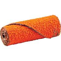 Cartouche de ruban abrasif en rouleau, 60 Grain, 1/2" dia., C&eacute;ramique d'alumine, 1-1/2" lo, 1/8" Dimension de l'arbre Rock Safety Industrial Ltd