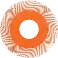 Brosse radiale en soies de pr&eacute;cision type C PN-RB sans adaptateur Scotch-Brite , C&eacute;ramique, Grain 80+, 6" dia. Rock Safety Industrial Ltd