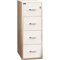 Classeurs &agrave; l'&eacute;preuve du feu, Acier, 4 tiroirs, 19-3/4" la x 31" p x 54" h, Beige Rock Safety Industrial Ltd