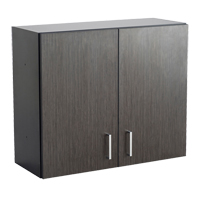 Modular Wall Cabinet, 30" H x 36" W x 15" D, 1 Shelves, Melamine, Asian Night/Black Rock Safety Industrial Ltd