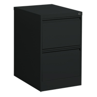 Classeur vertical, Acier, 2 tiroirs, 18-1/7" la x 25" p x 29" h, Noir Rock Safety Industrial Ltd