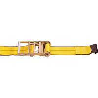 Ratchet Straps, Flat Hook, 4" W x 30' L, 5400 lbs. (2450 kg) Working Load Limit Rock Safety Industrial Ltd